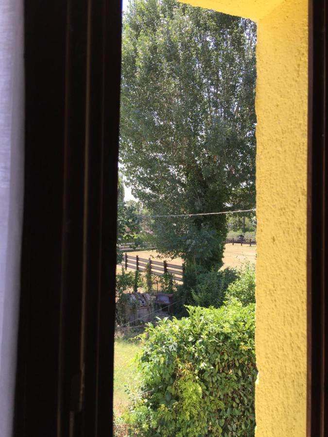 La Chicca B&B Ривоторто Екстериор снимка